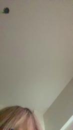 gatitacalient3 webcam model stream image