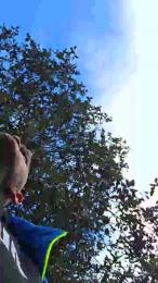 Victor3778 webcam model stream image