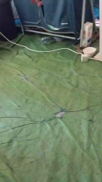 Petitebombe34 webcam model stream image