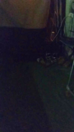 Petitebombe34 webcam model stream image