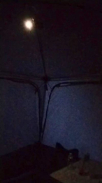 Petitebombe34 webcam model stream image