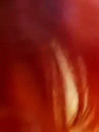 sorpresa_x webcam model stream image