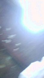 Thiagom00 webcam model stream image