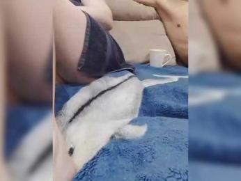 Love-para111 webcam bongacams model stream image