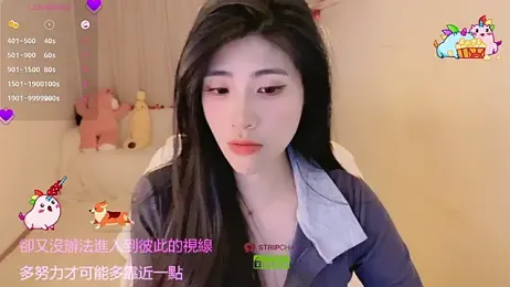 Vaidurya-Yolo webcam model stream image