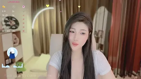 Vaidurya-Yolo webcam model stream image