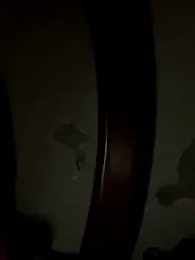 Bruno18cmmmmkk webcam model stream image