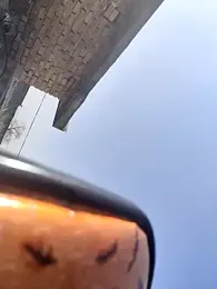 Adandan01 webcam model stream image