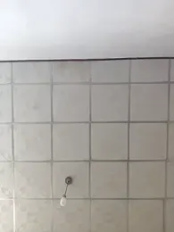 Adandan01 webcam model stream image