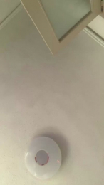 Tumamifav9 webcam model stream image