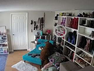 voyeurcam-missoliviablack-03 webcam model stream image