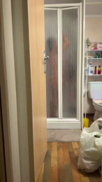 Denyma webcam model stream image