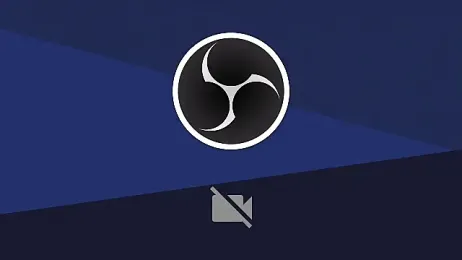 inamx69x webcam model stream image