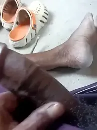 Bengali_BULL1 webcam model stream image