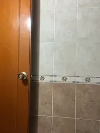 Превью Gym-Latin