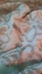 Bitedu44000 webcam model stream image