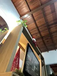 _Miguel100 webcam model stream image