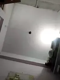 Mafiya1604 webcam model stream image