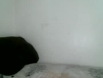 bigdickjimmywill webcam model stream image
