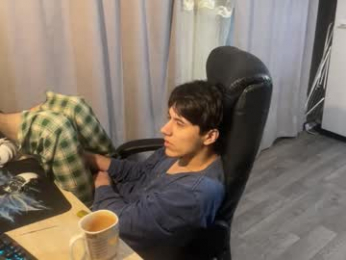 vialeras webcam model stream image