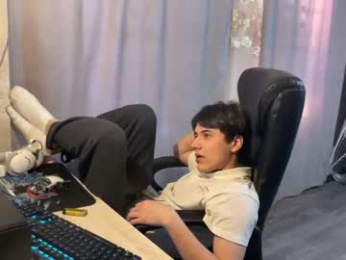 vialeras webcam model stream image