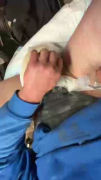 Mikesababy webcam model stream image