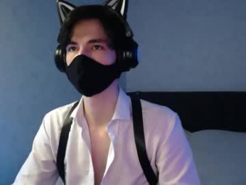 silinti webcam model stream image