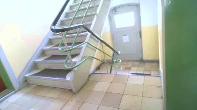 Asphalthund webcam model stream image