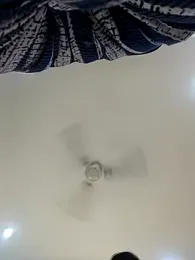 Archi-07 webcam model stream image