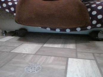 Dooomina35 webcam bongacams model stream image