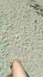 DIVERSO75 webcam model stream image