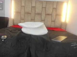 noir-sebas webcam model stream image