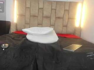 noir-sebas webcam model stream image