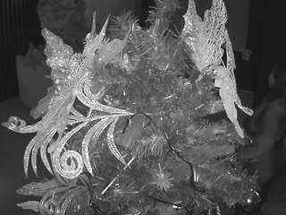 voyeurcam-casa-salsa-kitchen webcam model stream image