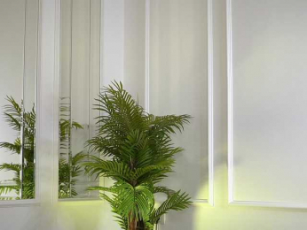 SashaPariss webcam bongacams model stream image