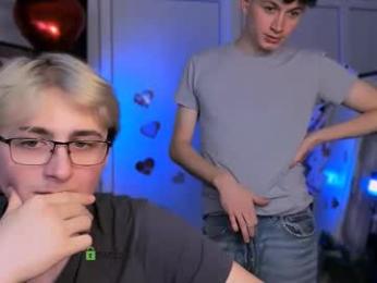 fose_di webcam model stream image