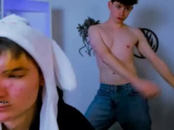 fose_di webcam model stream image