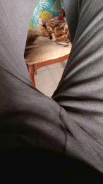 Ercoatto83 webcam cam4 model stream image