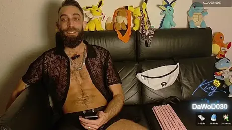 DaWoD030 webcam model stream image