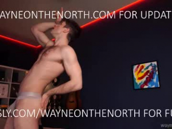 waynenorth webcam model stream image