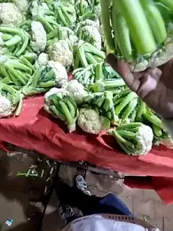 YoursThickDick webcam model stream image