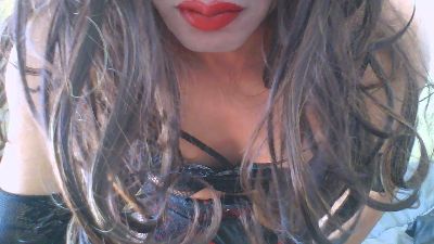 Pascaltrans webcam cam4 model stream image