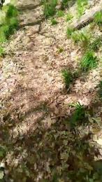 Etoile67moosa webcam model stream image