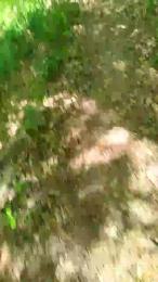 Etoile67moosa webcam model stream image