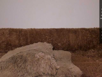 Tina_may webcam model stream image