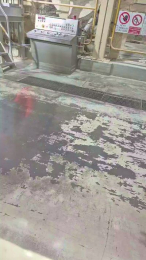 porcinoTN webcam model stream image