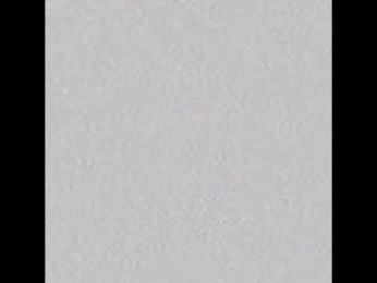 _tammarra_ webcam model stream image