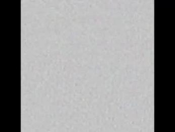 _tammarra_ webcam model stream image