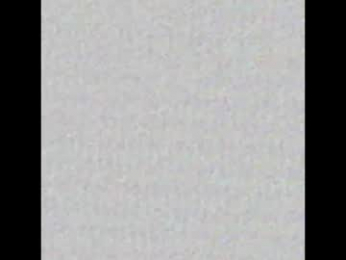 _tammarra_ webcam model stream image