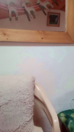 ALICELEBEL_1995 webcam model stream image